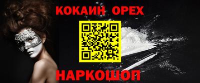 a pvp Новозыбков