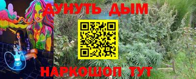 амф Новодвинск