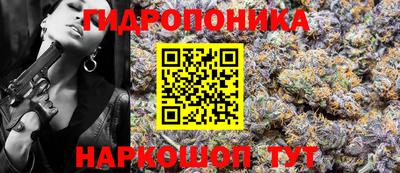 амф Новодвинск