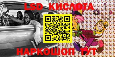 a pvp Новозыбков