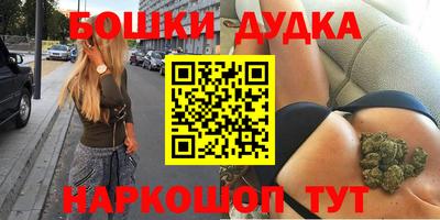 a pvp Новозыбков