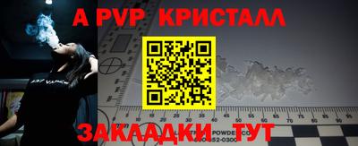 амф Новодвинск