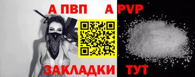 a pvp Новозыбков