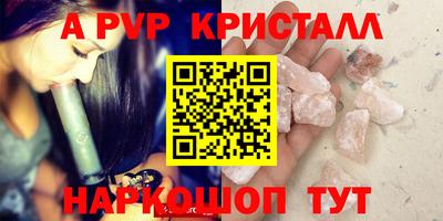 a pvp Новозыбков